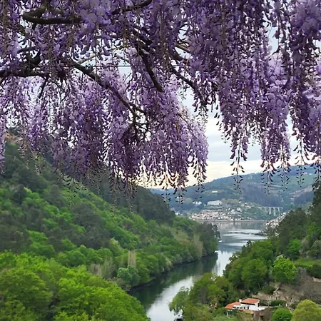 Lägenhet Douro Cinfães