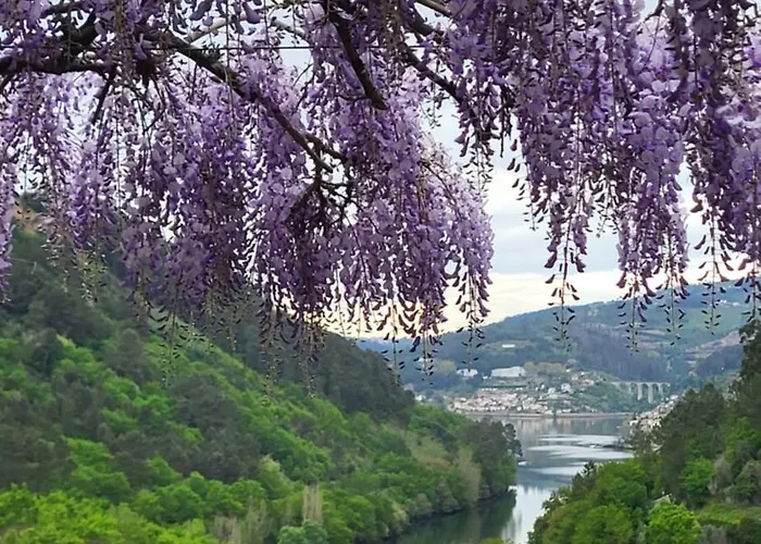 아파트 Douro 친파에스