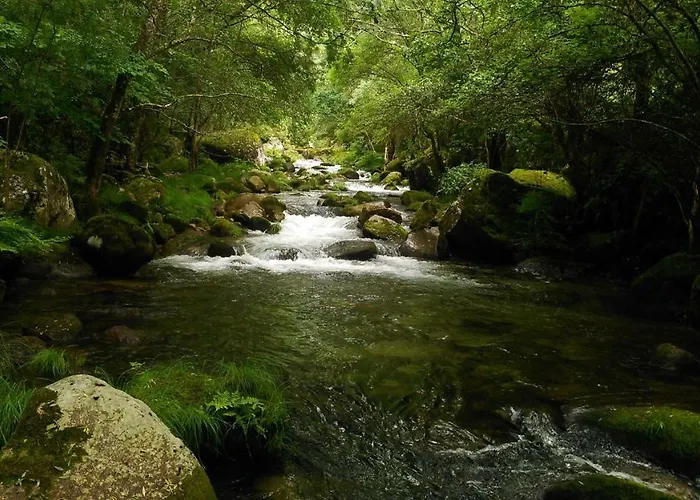 Douro * 친파에스